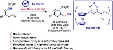 Graphical abstract: Stereoselective synthesis of the isoxazolidine ring via manganese(iii)-catalysed aminoperoxidation of unactivated alkenes using molecular oxygen in air under ambient conditions