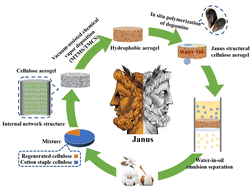 Graphical abstract: In situ construction strategy for three-dimensional Janus cellulose aerogel with highly efficient oil–water separation performance: from hydrophobicity to asymmetric wettability
