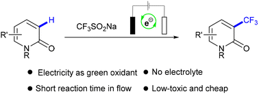 Graphical abstract: Electrolyte-free electrochemical C–H trifluoromethylation of 2-pyridones under batch and flow conditions