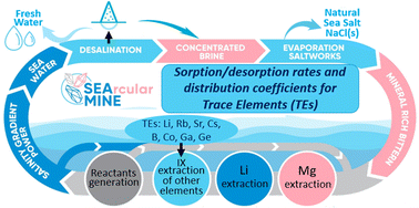 Graphical abstract: Polymeric and inorganic sorbents as a green option to recover critical raw materials at trace levels from sea saltwork bitterns