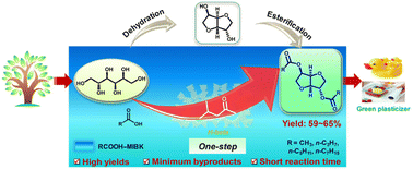 Graphical abstract: Methyl isobutyl ketone-enabled selective dehydration–esterification of sorbitol to isosorbide esters over the H-beta catalyst