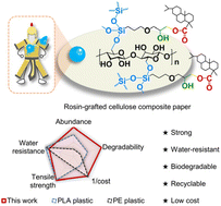 Graphical abstract: Water-resistant, strong, degradable and recyclable rosin-grafted cellulose composite paper