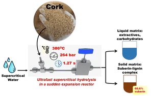 Graphical abstract: Accessing suberin from cork via ultrafast supercritical hydrolysis