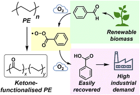 Graphical abstract: Benzaldehyde-mediated selective aerobic polyethylene functionalisation with isolated backbone ketones