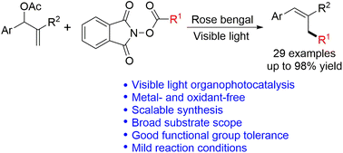 Graphical abstract: Metal-free, visible-light-promoted decarboxylative alkylation of Baylis–Hillman acetates with N-(acyloxy)phthalimides