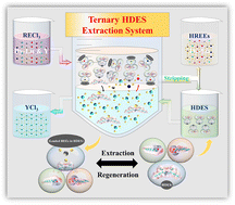 Graphical abstract: Tailored ternary hydrophobic deep eutectic solvents for synergistic separation of yttrium from heavy rare earth elements