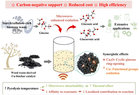 Graphical abstract: Sustainable production of gluconic acid and glucuronic acid via microwave-assisted glucose oxidation over low-cost Cu-biochar catalysts