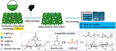 Graphical abstract: Ecofriendly urea-free pretreatment to enhance the inkjet printing performance of reactive dye inks on cotton fabrics