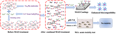 Graphical abstract: Performance and failure process of green recycling solutions for preparing high degradation resistance coating on biomedical magnesium alloys