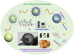 Graphical abstract: Strategic design and fabrication of lightweight sesame ball-like hollow double-layer hybrid magnetic molecularly imprinted nanomaterials for the highly specific separation and recovery of tetracycline from milk