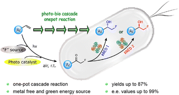 Graphical abstract: Enantiocomplementary synthesis of vicinal fluoro alcohols through photo-bio cascade reactions