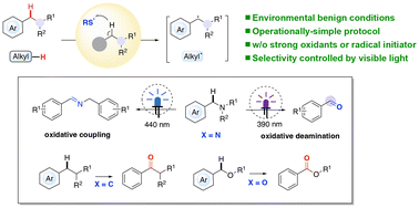 Graphical abstract: A divergent photocatalysis strategy for selective aerobic oxidation of C(sp3)–H bonds promoted by disulfides