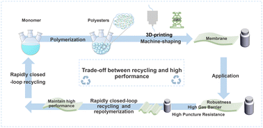 Graphical abstract: A synchronously chemically closed-loop and high-performance approach for furan-based copolyesters with robustness, high gas barriers, and high puncture resistance