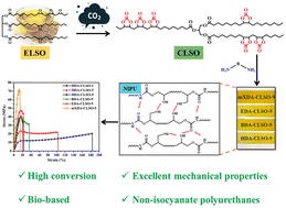 Graphical abstract: Mechanically strong non-isocyanate polyurethane thermosets from cyclic carbonate linseed oil