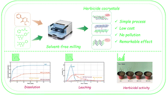 Graphical abstract: Cocrystal engineering strategy for sustained release and leaching reduction of herbicides: a case study of metamitron