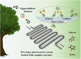 Graphical abstract: Improving the saccharification efficiency of lignocellulosic biomass using a bio-inspired two-stage microreactor system loaded with complex enzymes