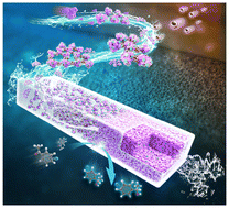 Graphical abstract: An enzyme-assembled gel monolithic microreactor for continuous flow asymmetric synthesis of aryl alcohols