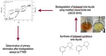 Graphical abstract: Towards greener and sustainable ionic liquids using naturally occurring and nature-inspired pyridinium structures