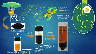 Graphical abstract: Metal-based ionic liquids: effective catalysts in aqueous media for the selective production of vanillin from alkali lignin at room temperature