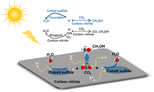 Graphical abstract: Targeted H2O activation to manipulate the selective photocatalytic reduction of CO2 to CH3OH over carbon nitride-supported cobalt sulfide