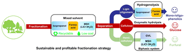 Graphical abstract: A sustainable and profitable biorefinery strategy for efficiently converting lignocellulose to furfural, glucose and phenolic compounds