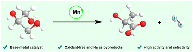 Graphical abstract: Manganese-catalysed dehydrogenative oxidation of glycerol to lactic acid