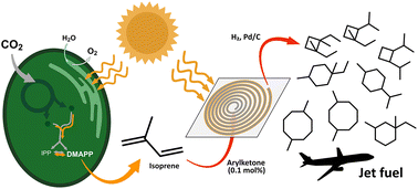 Graphical abstract: A combined photobiological–photochemical route to C10 cycloalkane jet fuels from carbon dioxide via isoprene