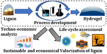 Graphical abstract: System-level integrative analyses for production of lignin hydrogels