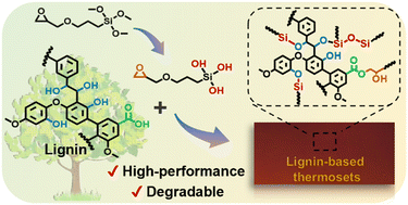 Graphical abstract: Green and facile method for valorization of lignin to high-performance degradable thermosets