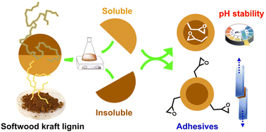 Graphical abstract: Recombinatorial approach for the formation of surface-functionalised alkaline-stable lignin nanoparticles and adhesives