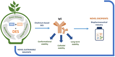 Graphical abstract: Unveiling the potential of deep eutectic solvents to improve the conformational and colloidal stability of immunoglobulin G antibodies