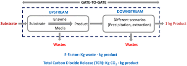 Graphical abstract: On the need for gate-to-gate environmental metrics in biocatalysis: fatty acid hydration catalyzed by oleate hydratases as a case study