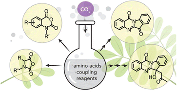 Graphical abstract: N-Carboxyanhydrides directly from amino acids and carbon dioxide and their tandem reactions to therapeutic alkaloids