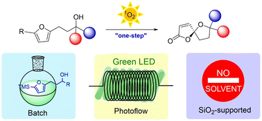 Graphical abstract: Direct synthesis of oxaspirolactones in batch, photoflow, and silica gel-supported solvent-free conditions via visible-light photo- and heterogeneous Brønsted acid relay catalysis