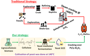 Graphical abstract: Catalytic cracking of yeast-borne single-cell oil for the production of small-chain olefins over a PtSn/alumina catalyst