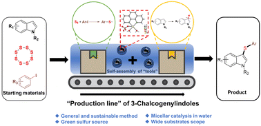 Graphical abstract: Micelle-mediated multicomponent cross-coupling in water: general construction of 3-chalcogenylindoles