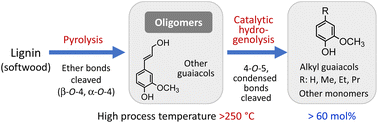 Graphical abstract: Pyrolysis-assisted catalytic hydrogenolysis of softwood lignin at elevated temperatures for the high yield production of monomers