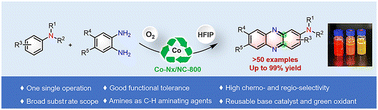 Graphical abstract: Direct access to functional phenazines via oxidative annulation of anilines and o-phenylenediamines with a reusable cobalt catalyst