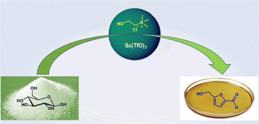 Graphical abstract: High-yield synthesis of HMF from glucose and fructose by selective catalysis with water-tolerant rare earth metal triflates assisted by choline chloride