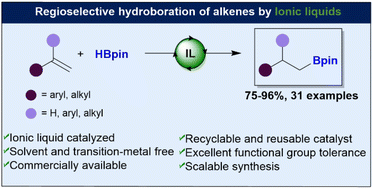 Graphical abstract: Organocatalytic hydroboration of olefins in pyrrolidinium ionic liquids