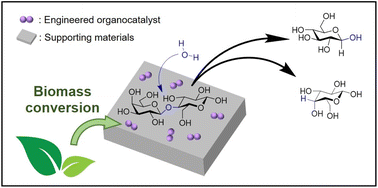 Graphical abstract: Design of supported organocatalysts from a biomass-derived difuran compound and catalytic assessment for lactose hydrolysis