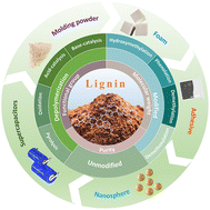 Graphical abstract: Lignin as a green and multifunctional alternative to phenol for resin synthesis