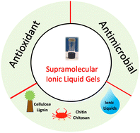 Graphical abstract: Antimicrobial and antioxidant supramolecular ionic liquid gels from biopolymer mixtures