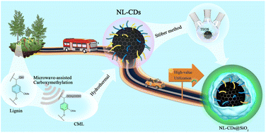 Graphical abstract: Stable lignin-based afterglow materials with ultralong phosphorescence lifetimes in solid-state and aqueous solution