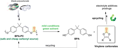 Graphical abstract: Chemical upcycling of poly(bisphenol A carbonate) to vinylene carbonates through organocatalysis