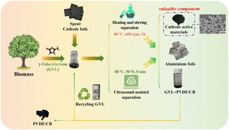Graphical abstract: A sustainable delamination method to completely separate spent cathode foils via biomass-derived γ-valerolactone