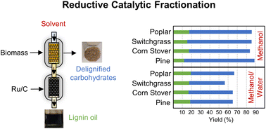 Graphical abstract: Feedstock-agnostic reductive catalytic fractionation in alcohol and alcohol–water mixtures