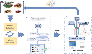 Graphical abstract: Machine learning-assisted data-driven optimization and understanding of the multiple stage process for extraction of polysaccharides and secondary metabolites from natural products