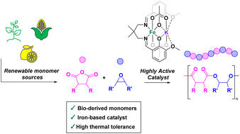 Graphical abstract: A highly active, thermally robust iron(iii)/potassium(i) heterodinuclear catalyst for bio-derived epoxide/anhydride ring-opening copolymerizations