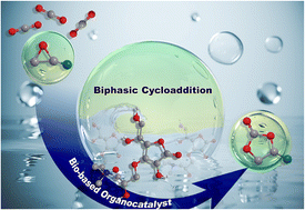 Graphical abstract: Cycloaddition of CO2 to epoxides “around water”: a strategy to apply and recycle efficient water-soluble bio-based organocatalysts in biphasic media
